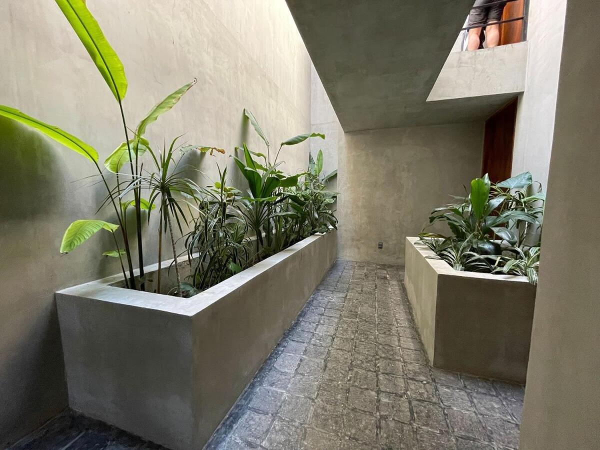 Luxury Loft In Aldea Zama With Rooftop Pool Apartment *